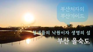 Busan Guide/Korea/부산의 자랑 을숙도 가이드