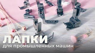 Лапки для промышленных машин | Мое швейное оборудование | Швейная машина Brother