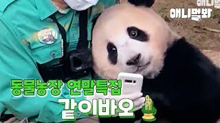 [EOY Episode] Update On Animals That Received Loads of Love!