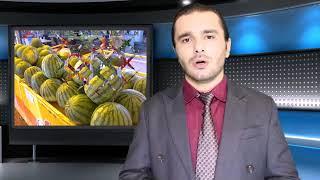 صادرات میوه و سبزیجات
