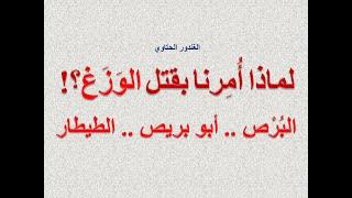 لماذا أمرنا بقتل الوزغ البرص الطيطار أبو بريص ؟! Dr. Advisor الغندور الحتاوي