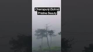 Cherrapunji (Sohra) - pristine beauty, Meghalag