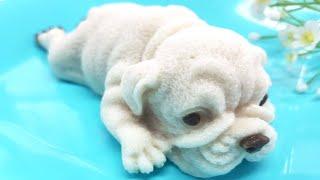 How to make a Cute Pug Jelly Dog I How To Jelly