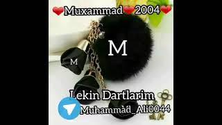 Muhammad Blogger