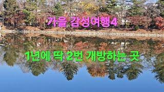 가을감성여행4 - 청평 저수지 단풍길 산책 (청평 옛 중앙내수면 연구소 ) #가평