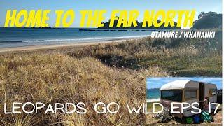 Home to the Far North - Otamure. Leopards Go Wild Eps 17