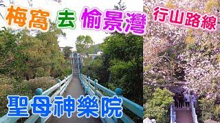 梅窩 去 愉景灣 經 聖母神樂院 香港行山路線