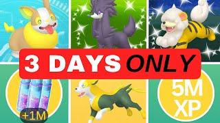 How To MAXIMISE The YAMPER Event!