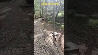 kısada olsa Doğaya kaçış