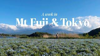 Mt Fuji & Tokyo Travel Vlog | flower festival, Fuji viewpoints, quiet areas in Tokyo