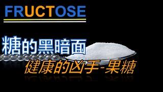 【糖的黑暗面-2】【医学知识】健康的凶手，糖的元凶——果糖，果糖独特失控的代谢方式，是如何隐藏在糖的后面，破坏我们的健康的。