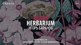 Выставка Игоря Баранова Herbarium в музее Эрарта. Интервью с куратором и художником