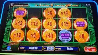 26/11/24 BULLRUSH SLOTS AT IT'S MOST FUN @Sydneyslotsking #casino #slotmachine #pokies #slot