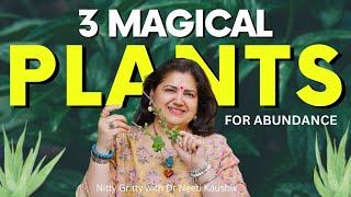 3 Lucky Plants for Abundance