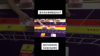 중국 큰 손형 뱅커 강승부 결과는? #캄보디아아바타 #강원랜드 #슬롯머신 #슬롯잭팟 #에볼루션 #캄보디아카지노