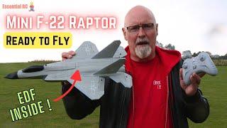 Mini RC F-22 Raptor Fighter Jet with Electric Ducted Fan and Stabilisation for NEW Pilots !