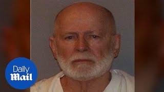 Freddy Geas under investigation for murder of Whitey Bulger