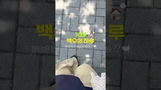 늦잠 자버린 백수의 하루  #백수 #자취브이로그 #브이로그 #스픽 #korean #vlog