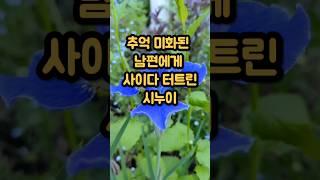 추억 미화된 남편에게 사이다 터트린 시누이