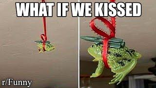 r/Funny | under the missile toad