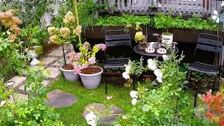 THE BEAUTY OF RAIN IN THE GARDEN | Plants Flowers Garden Tour #nature #rain #garden #flowers #new