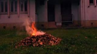 Playing at SFIAAFF 2010: MUNDANE HISTORY Trailer