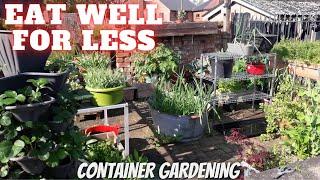 Grow Food For Less Container Gardening [Gardening Allotment UK] [Grow Vegetables At Home ]