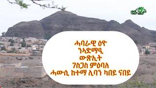 ''ሓባራዊ ዕዮ፡ ንኣድማዒ ውጽኢት!'' ገስጋስ ምዕባለ ሓውሲ ከተማ ሊባን ካበይ ናበይ.........? 1ይ ክፋል