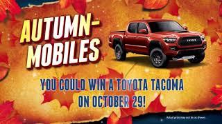 Autumn - mobiles at Grand River Casino