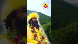 The Value of Pain #meditation #pain #dhyana #kriyayoga #spiritualrealization #spiritualpath
