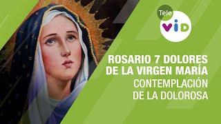 Rosario Siete Dolores de la Virgen María, Contemplación de la Dolorosa  Tele VID