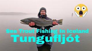 The Mighty Tungufljót River: Sea Trout Fishing In Iceland