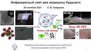 лекция: Инфракрасный свет для медицины будущего Евгений Хайдуков