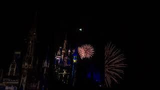 "That feeling when Tinker Bell comes flying down and sprinkles some Disney magic on your day!