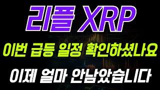 [리플 XRP] 이번 급등 일정.. 진짜 중요합니다 확인 필수 !