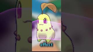 I Love Pokemon Pets
