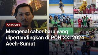 Mengenal cabor baru yang dipertandingkan di PON XXI 2024 Aceh-Sumut