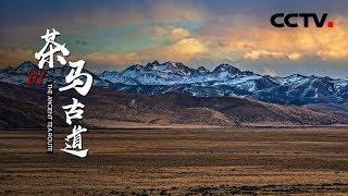 《茶马古道》第一集 | CCTV纪录