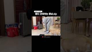 중티학과 학위드려 #한중커플 #中韩情侣 #일상브이로그