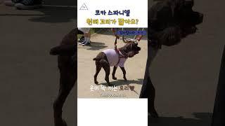 있는 그대로 사랑해 주세요 #shorts