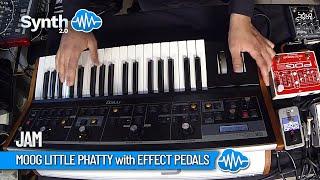 MOOG LITTLE PHATTY ANALOG SYNTH with EFFECT PEDALS | JAM