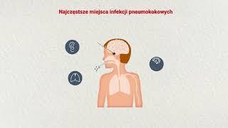 PneumoOnko program szczepień przeciwko pneumokokom dla mieszkańców Warszawy (NAPISY)