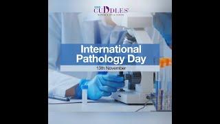 International Pathology Day | KIMS Cuddles