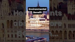 High Science | Environmental Benefit - Hemp Plants Absorb More Co2 Than.....