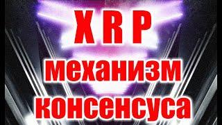 RIPPLE XRP механизм консенсуса. Как все это работает.