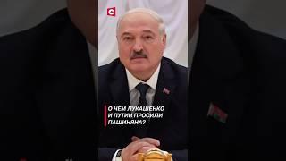 О чём Лукашенко и Путин просили Пашиняна? #лукашенко #путин #пашинян #карабах #политика #новости