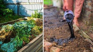 How I Transformed Our Compost Area Into a Microbe Paradise!