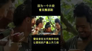 #2025最新电视剧 #电视剧解说 #電影 #一口气看完 #movie