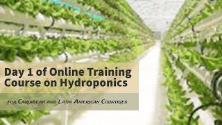 Online training course in hydroponics with participants from Caribbean & Latin American countries