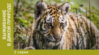 Выживание в дикой природе. 2 Серия. Документальный Проект. Лучшие сериалы